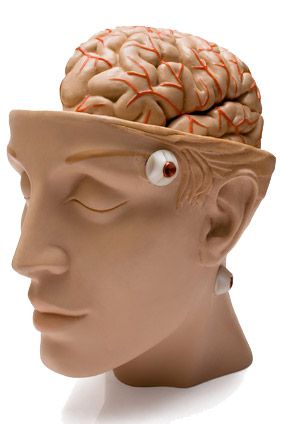 Fernstudium Medizin